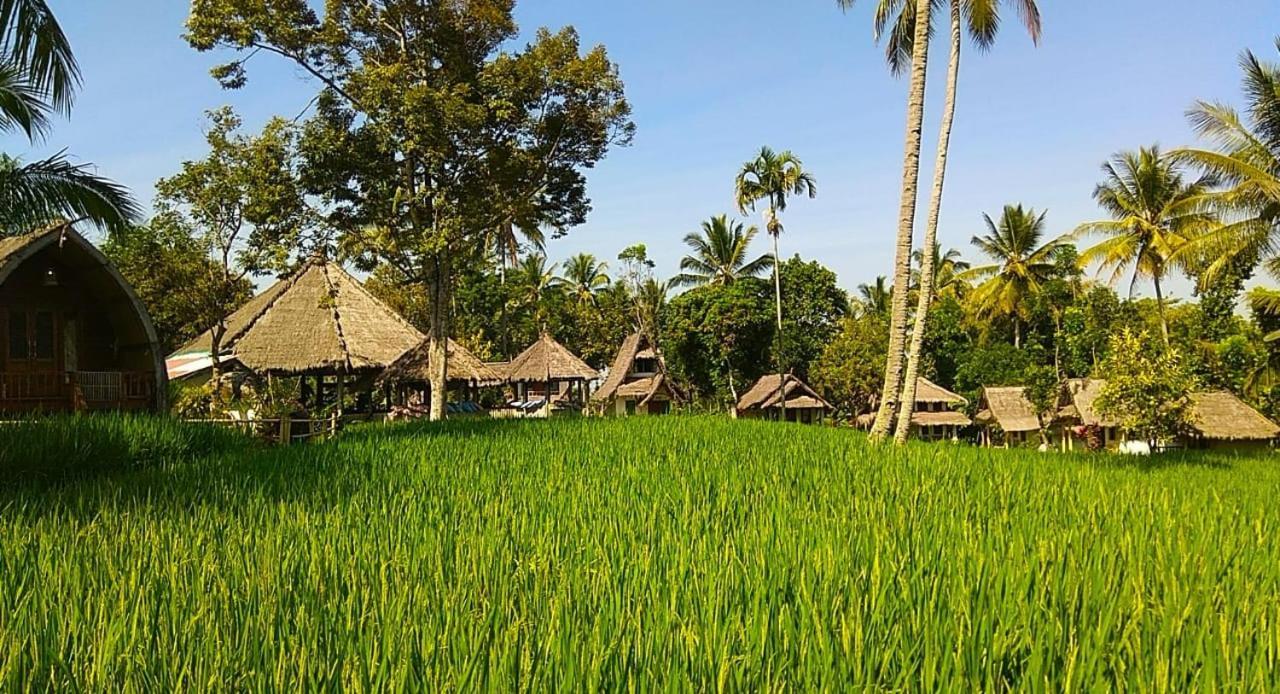 Hakiki Inn Bungalows Tetebatu Ngoại thất bức ảnh