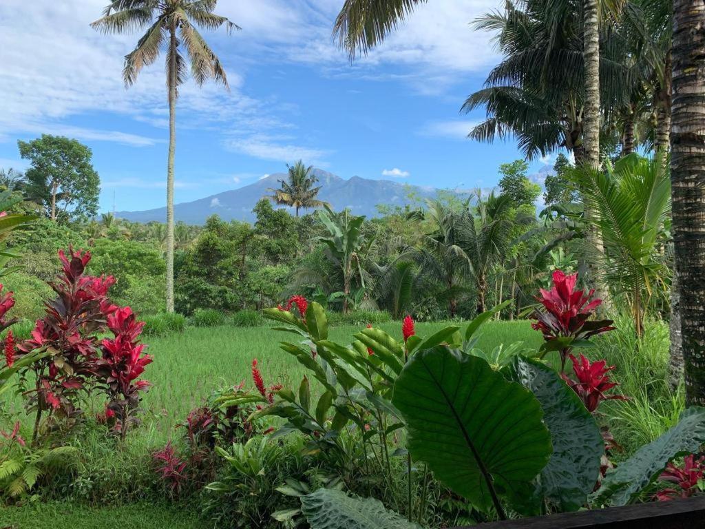 Hakiki Inn Bungalows Tetebatu Ngoại thất bức ảnh